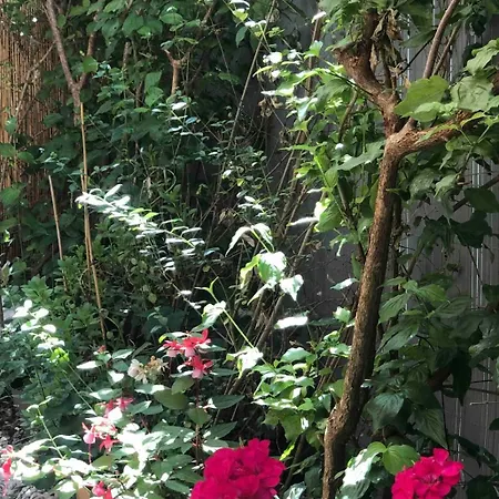 Charming F2- Private L'Ile-Saint-Denis